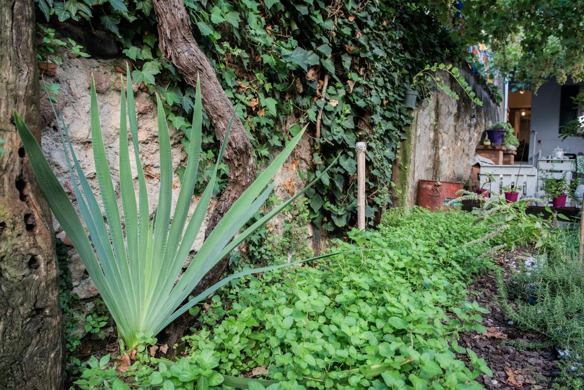 Casa Babbuino 호텔 베로나 외부 사진