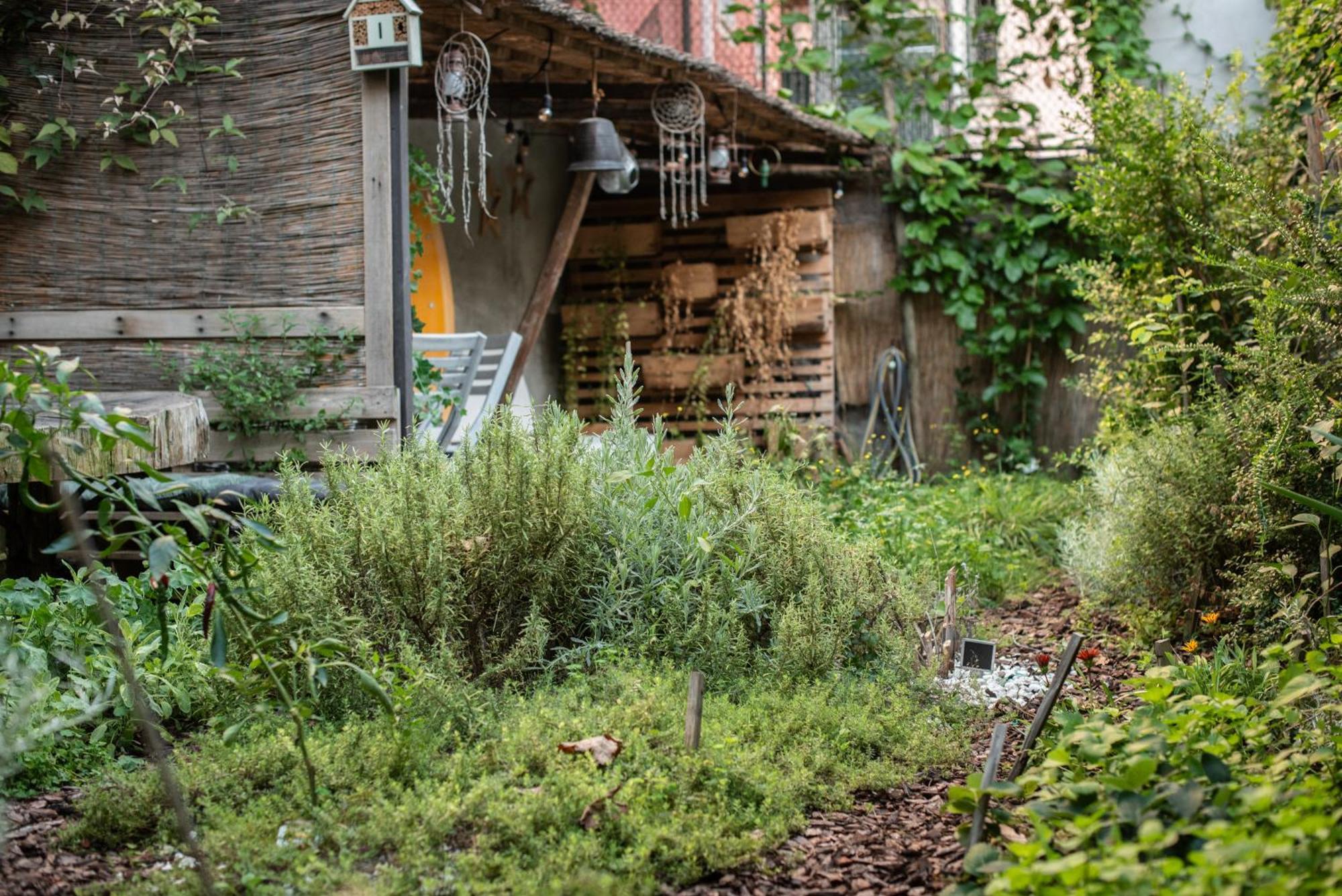 Casa Babbuino 호텔 베로나 외부 사진